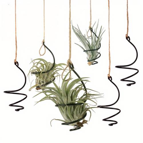 6pcs Plant Support+6pcs Sisal Rope, Black Aluminum Vortex Air Plant Holders - Soilless Hanging Planters for Orchids & Garden Decor, No Soil Needed