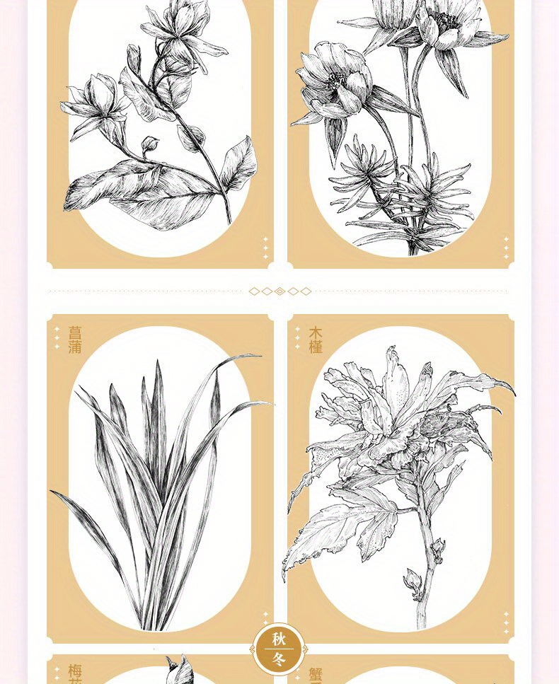 A Collection of Floral Line Drawings Featuring 350 Examples of Black And White Illustrations. Chinese Version