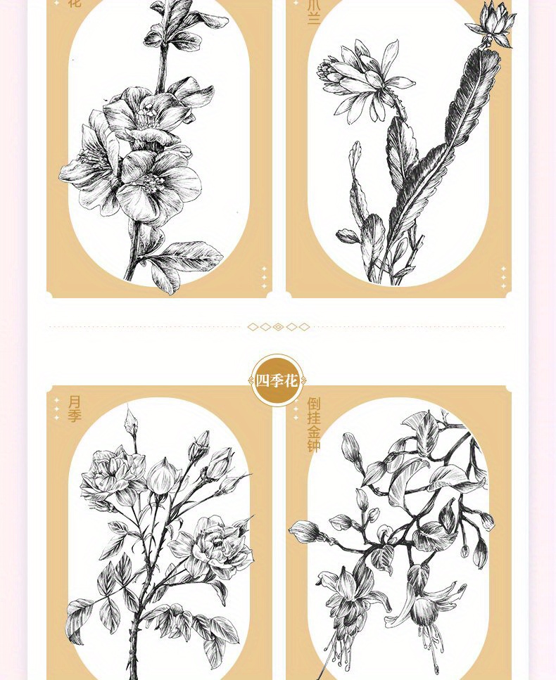 A Collection of Floral Line Drawings Featuring 350 Examples of Black And White Illustrations. Chinese Version