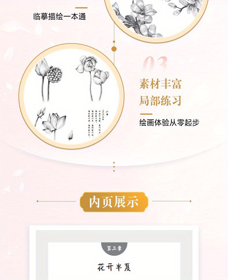 A Collection of Floral Line Drawings Featuring 350 Examples of Black And White Illustrations. Chinese Version