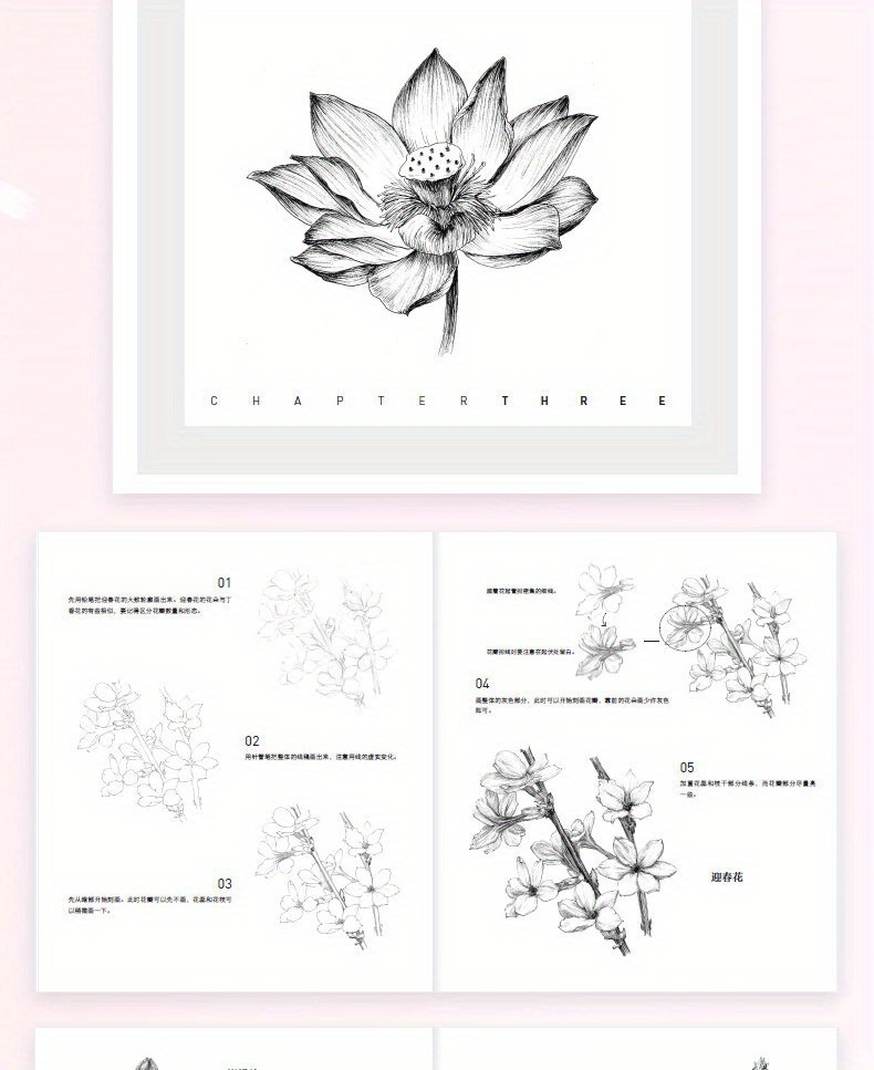 A Collection of Floral Line Drawings Featuring 350 Examples of Black And White Illustrations. Chinese Version