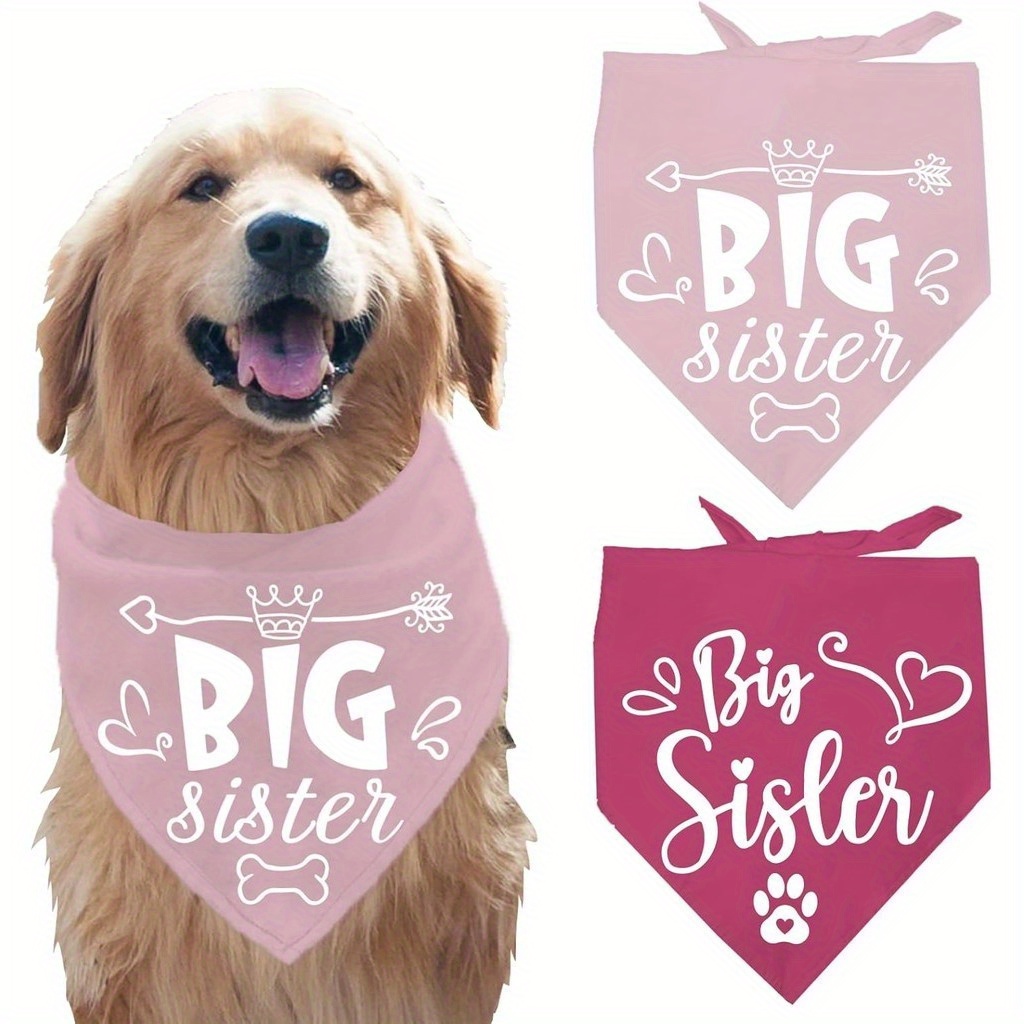 Pet Scarf Promoted To Big Sister Dog Bandana Big Sister Dog