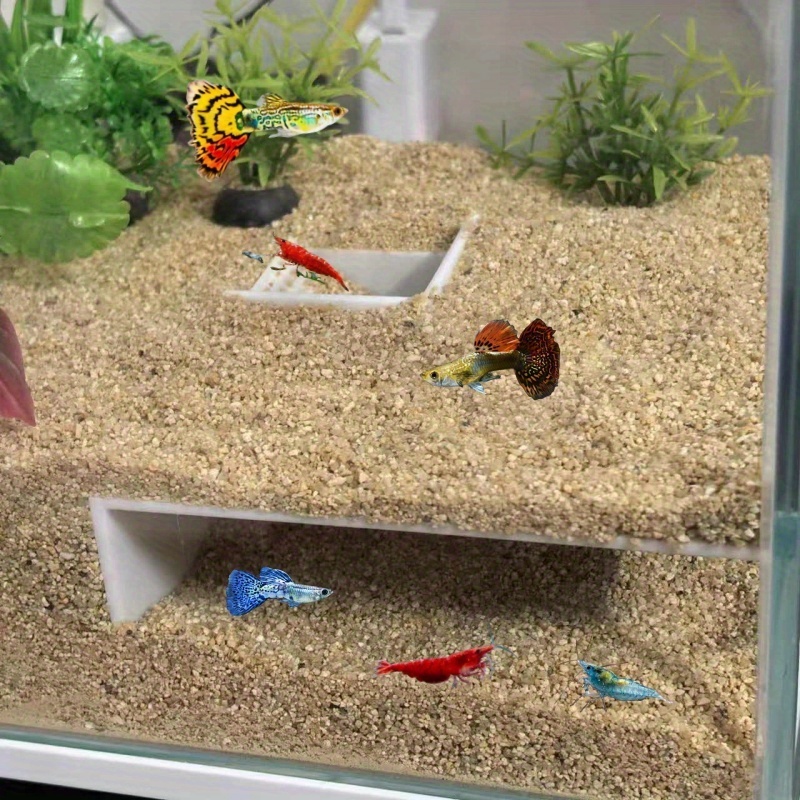 2 Stück Betta Fisch Tunnel Mit Saugnapf - Schwimmende Höhle Für Aquarium Fische