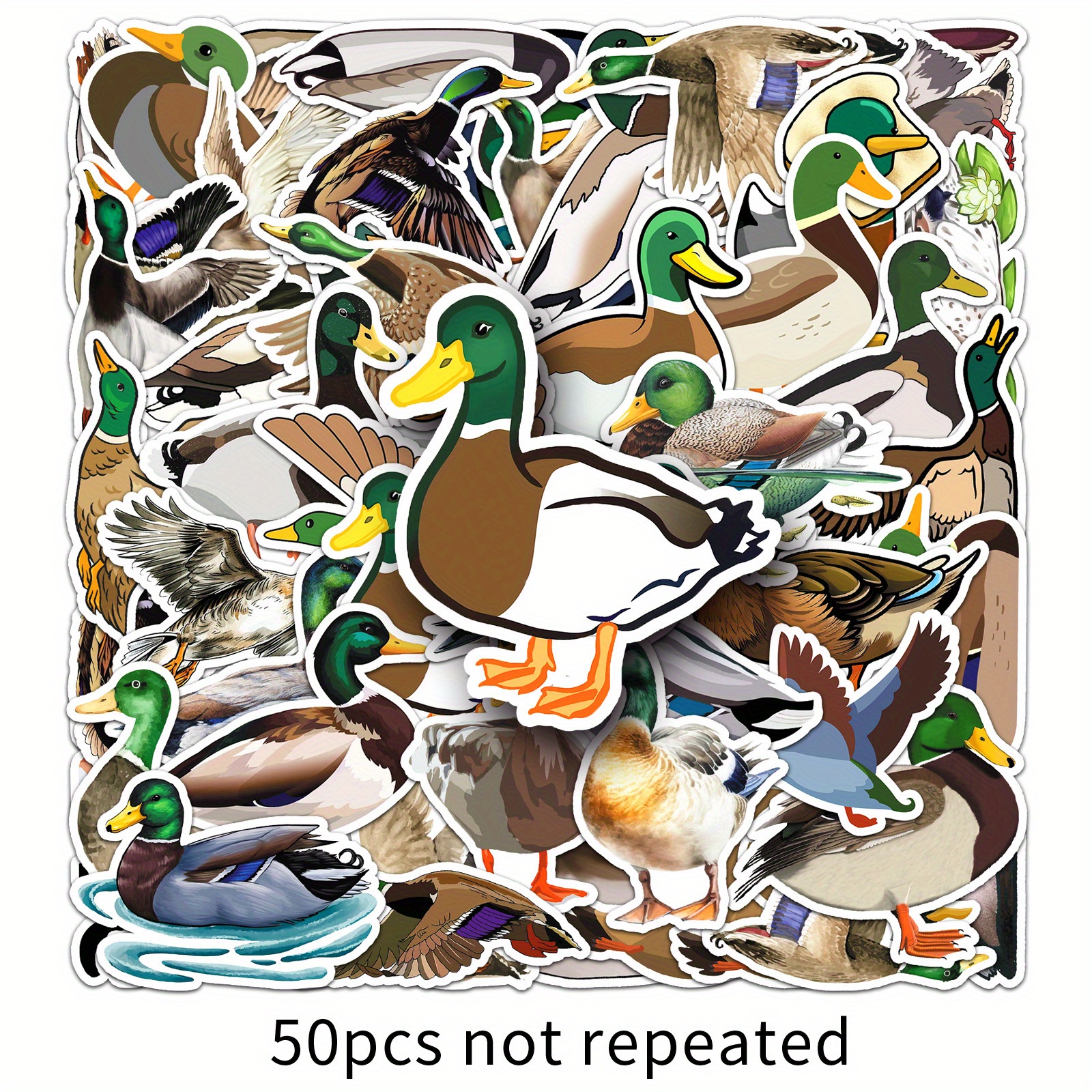 Set Of 50 Mallard-themed Fun Graffiti Stickers For Decorating Luggage, Guitars, Cars, Skateboards, And Notepads