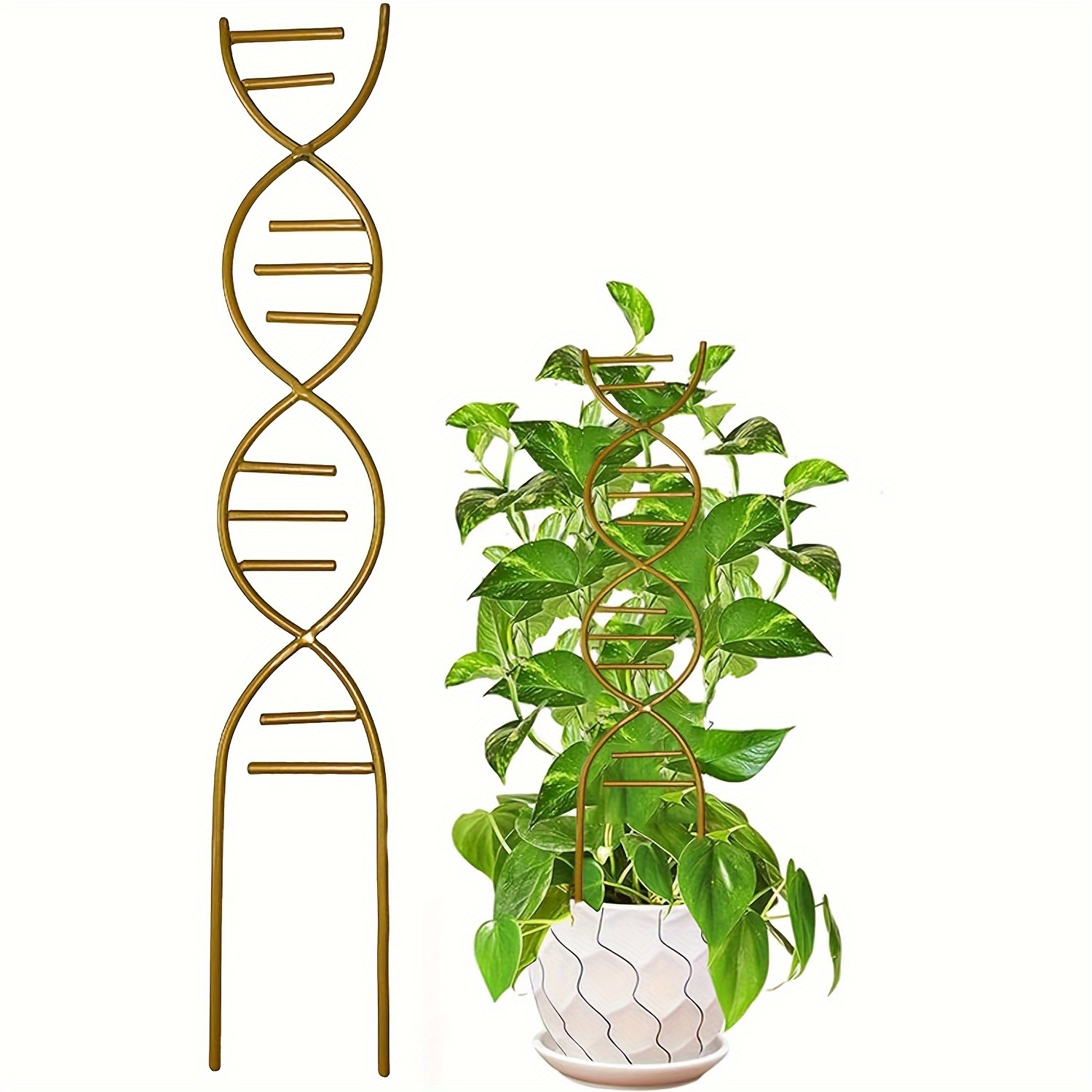 

1pc/3pcs Golden Metal Plant Support Stake, Indoor Outdoor Climbing Plant Trellis For Potted Vine Ivy Flowers - Garden Trellis For Small Potted Plants