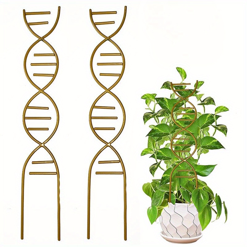 TEMU 1pc/3pcs Golden Metal Plant Support Stake, Indoor Outdoor Climbing Plant Trellis For Potted Vine Ivy Flowers - Garden Trellis For Small Potted