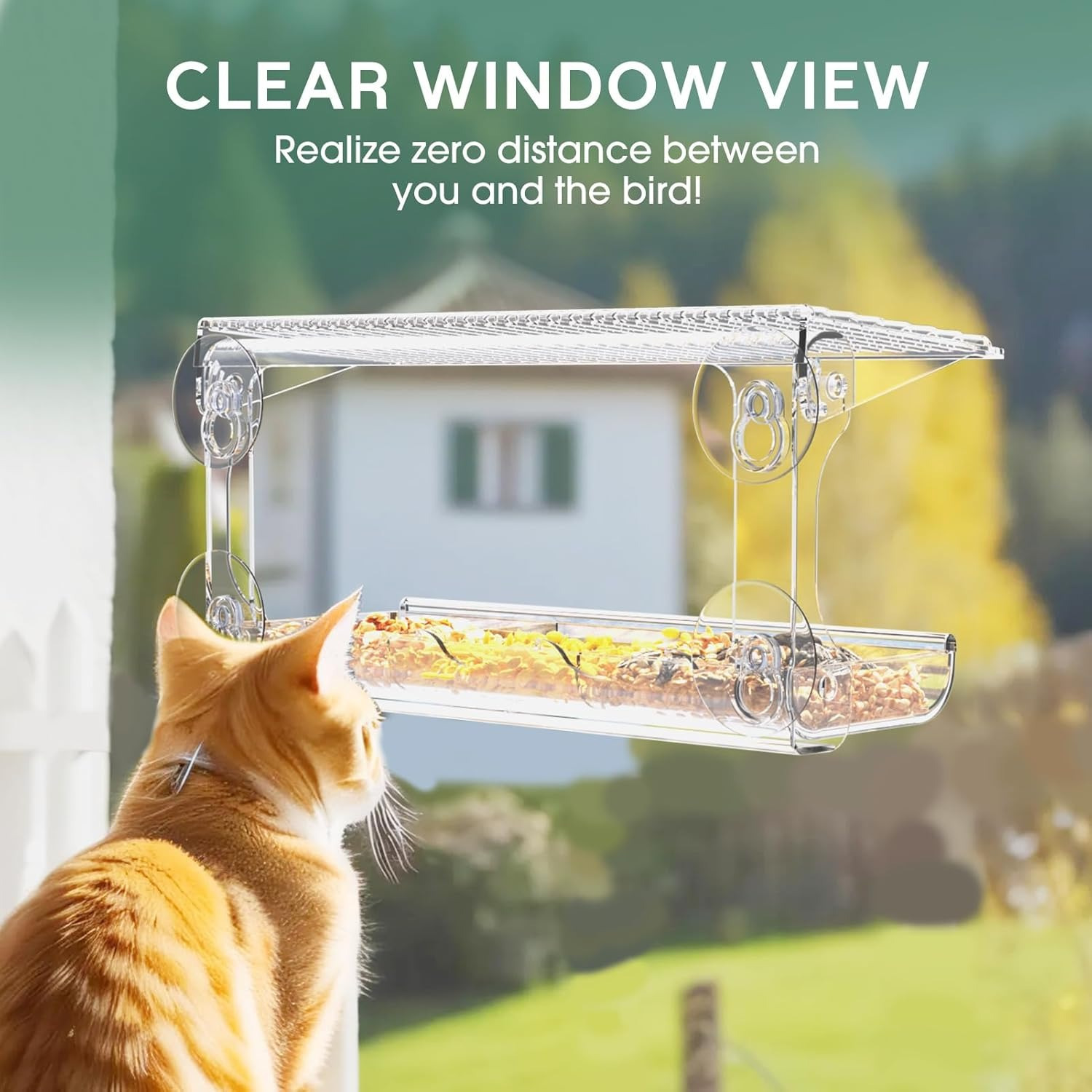 

1 - Feeder For Outdoors - Clear Feeders Mounted Suction - For In And - For Elderly And Kids