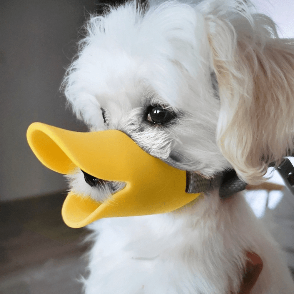 pack silicone duckbill dog muzzle safety bite resistant Temu