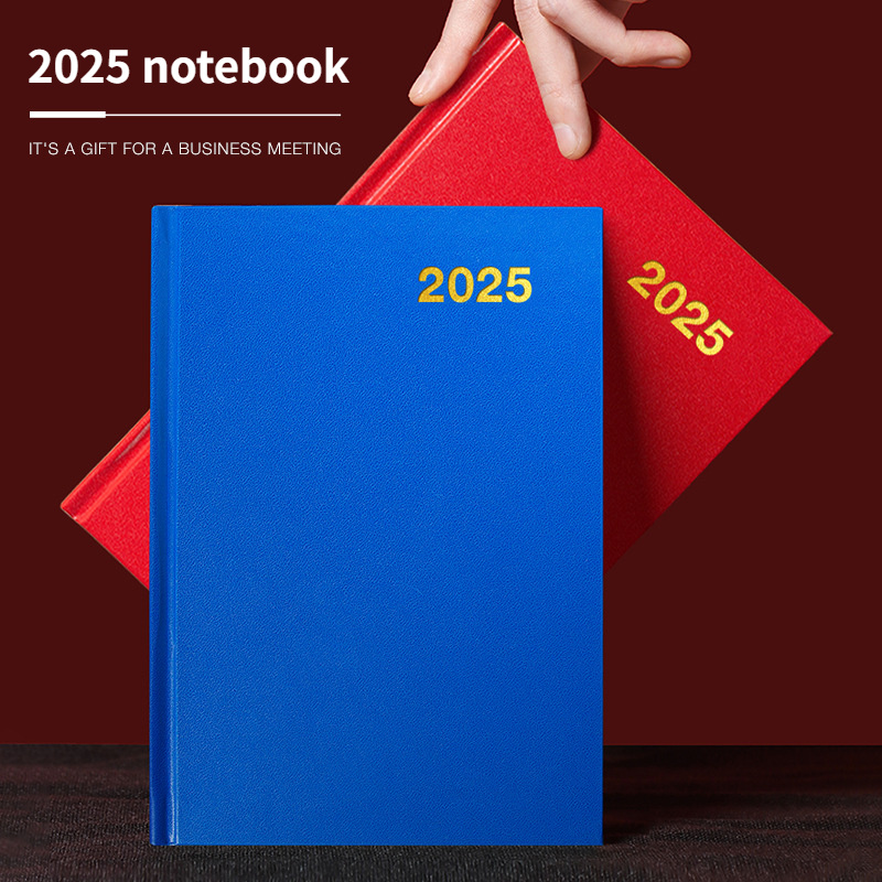 

2025 Agenda Planner: 152 Sheets, 304 Pages, 365 Days, Monthly, Weekly, Daily Planning, Calendar, , Diary, School, Stationery (4 Colors)