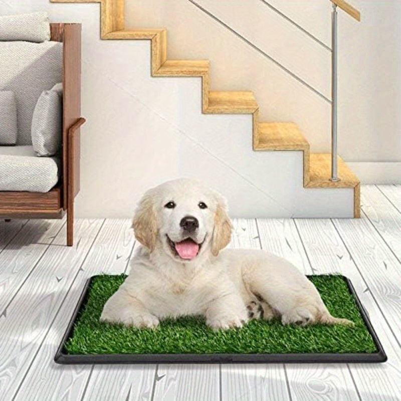 

- Dog Potty Mat 3- - Plastic , / Pet Pee Pad , 20x16 , For Housebreaking &