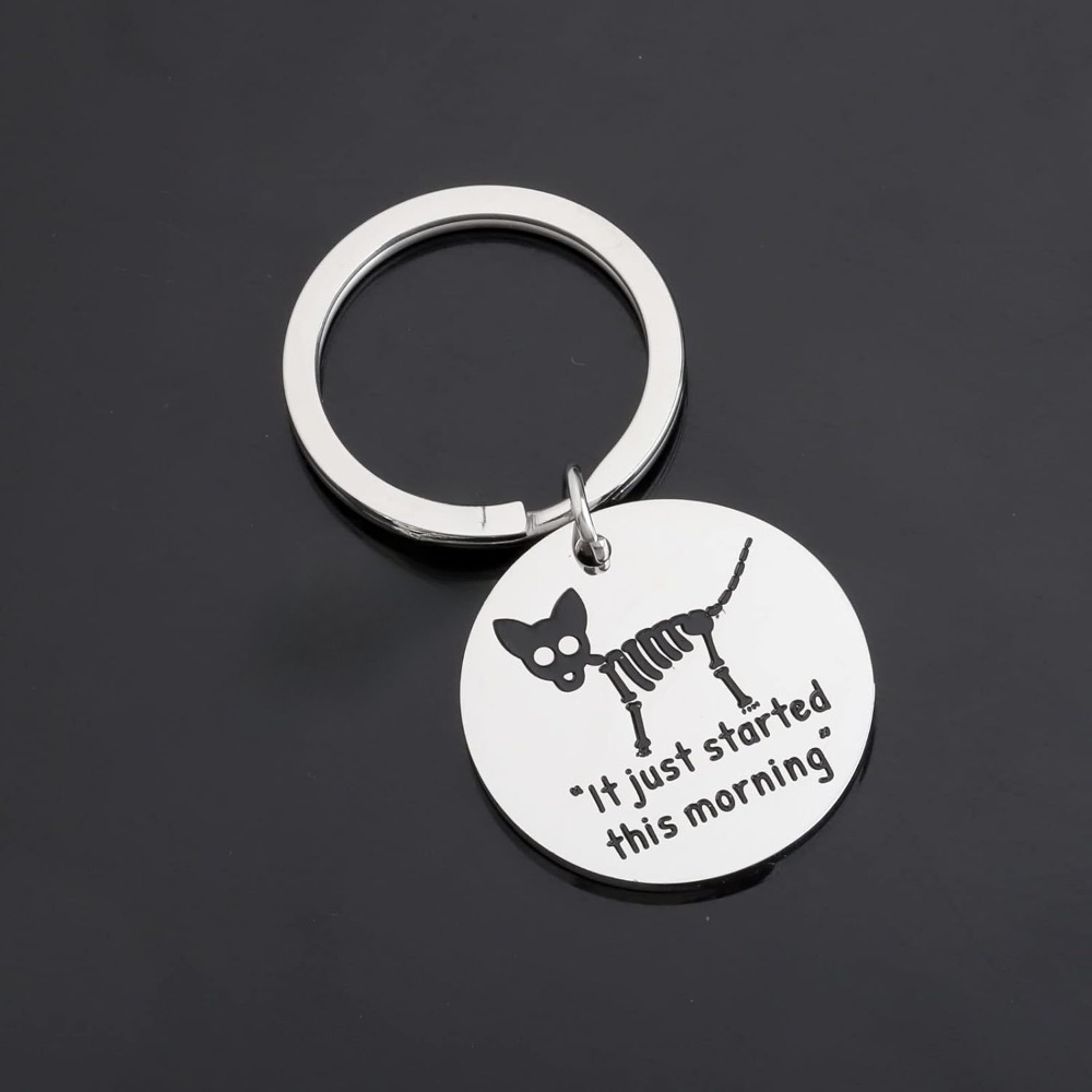 

Just " - Cute Stainless Steel Keychain, Perfect Gift For Veterinarians & Vet , Ideal Graduation Present For Animal Students