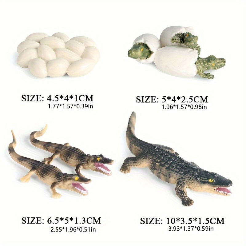 Image of Educational Crocodile Life Cycle Set - Handcrafted Animal Figurines, Suitable For Children Aged 3-6 | An For Creative Play And Learning | Perfect Gift Or Party Favor