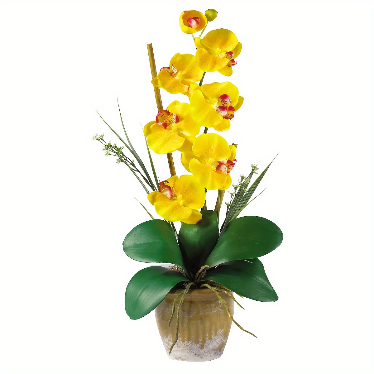 Phalaenopsis Silk Orchid Flower Arrangement Yellow Don't Miss These