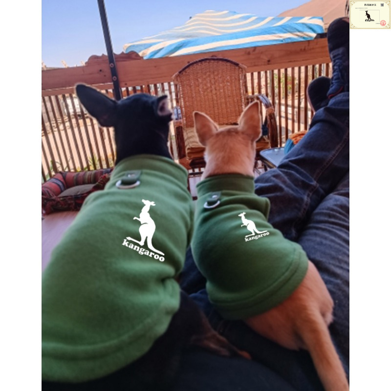 Gilet polaire doux à imprimé kangourou 2024 pour chien avec veste en tissu pour chiot et chat, toutes tailles de races, vêtements pour animaux de compagnie pour toutes les saisons pour bouledogue français, yorkshire, chihuahua_voghion.com