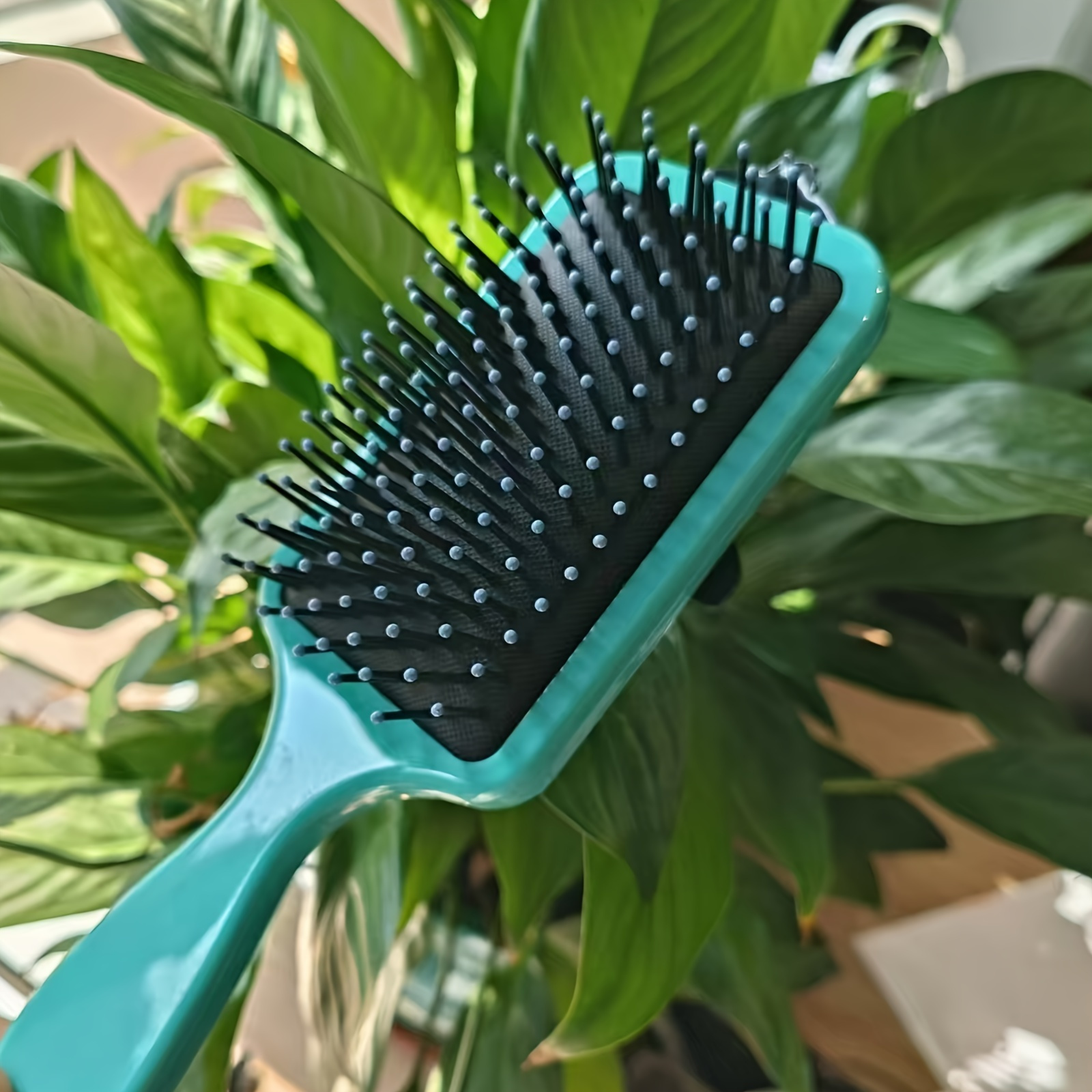 

- , Abs & Bristles