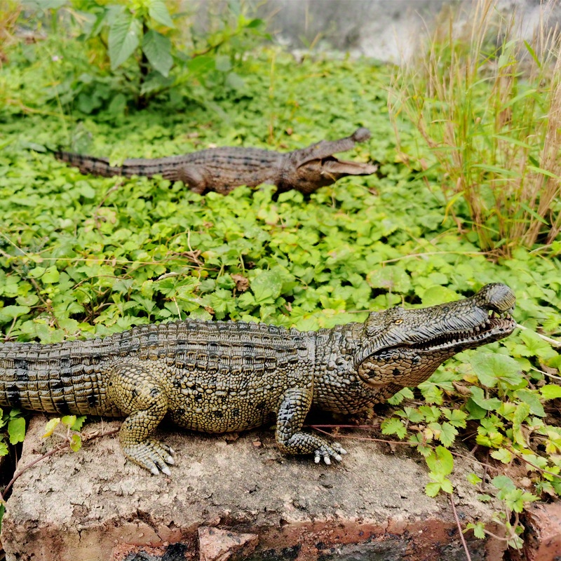 TEMU Realistic Crocodile - Pvc Educational Collectible For Enthusiasts