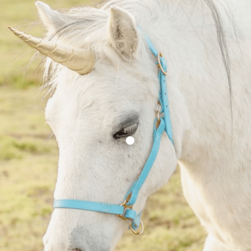 

1ea Unicorn Horse Ornament Set - Polyester Dragon-themed Gear Decorations With Metallic Horn And Vibrant Mane, For Equestrian Use