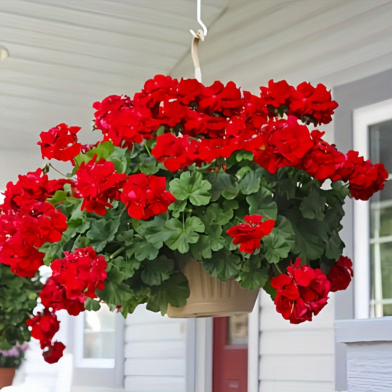 

4pcs Red Geranium Artificial Flowers - Uv Resistant Silk Plants For Weddings & Engagements, Outdoor Decor & Home Table Centerpieces, No Container Needed