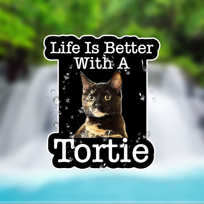 

Decal - , For , Laptops, & - , & -