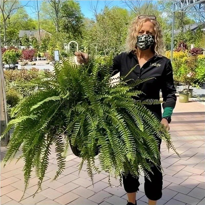 

3pcs-realistic Artificial Boston Fern - 2024 New Artificial Boston Fern Outdoor Large Realistic Artificial Fern Hanging Silk Fern Stem Indoor Basket Plant Urn Filler Front Porch