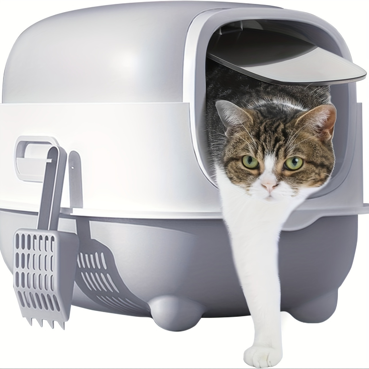 8-Quart Digital Air Fryer