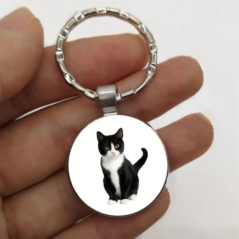 

- - , les à Dos & Cadeaux, Accessoire les des Chats