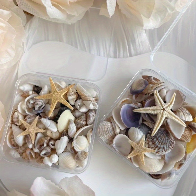 

Dream Mix - Assorted Sea Shells And Starfish For Diy , Jewellery Making, And Decor - Set