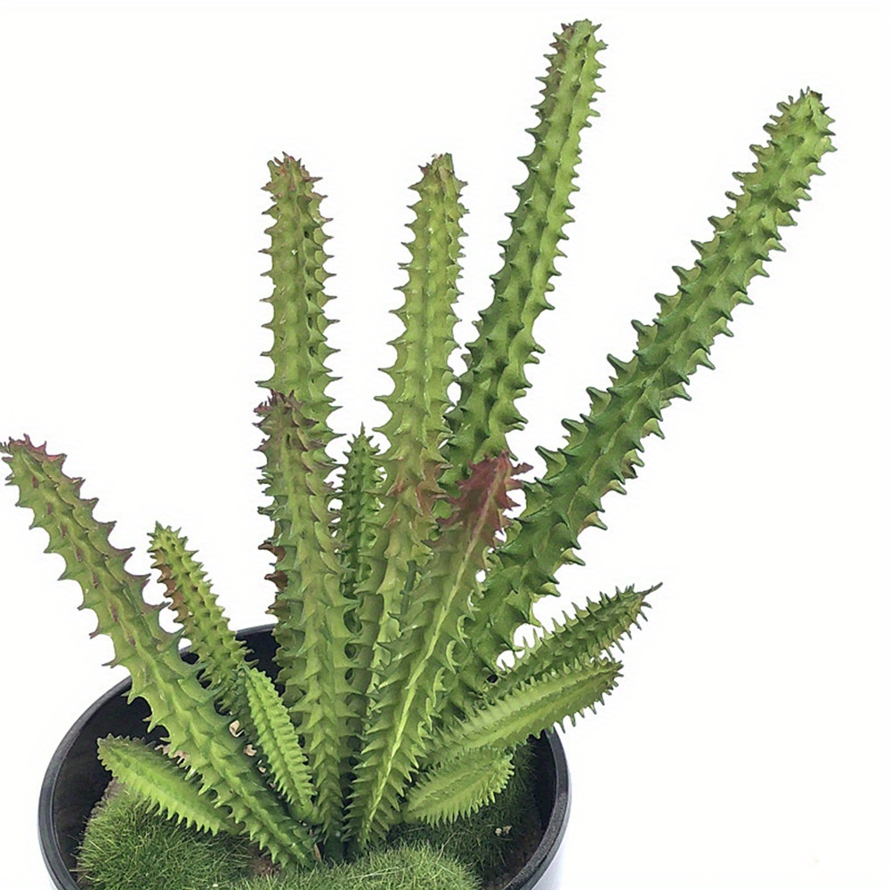 Image of 1pc Mini Succulent Cactus - Lifelike Artificial Green Plant For Decor, Perfect For Desk, Bookshelf, And Living Room