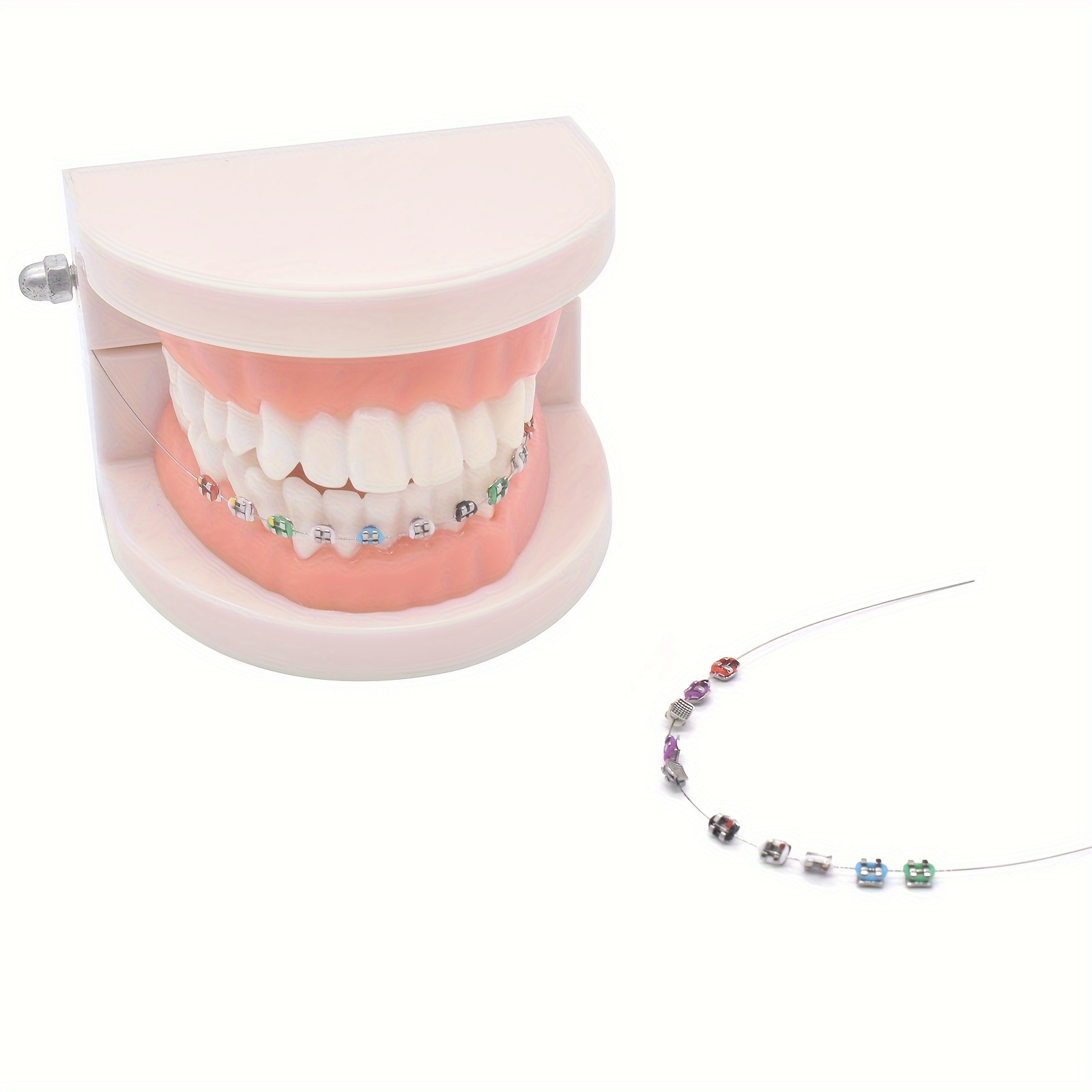 

Stainless Steel Temporary Tooth Decoration Kit With Arch Wires, Brackets & Ties - Ideal For Dental Students & Orthodontist Practice Props