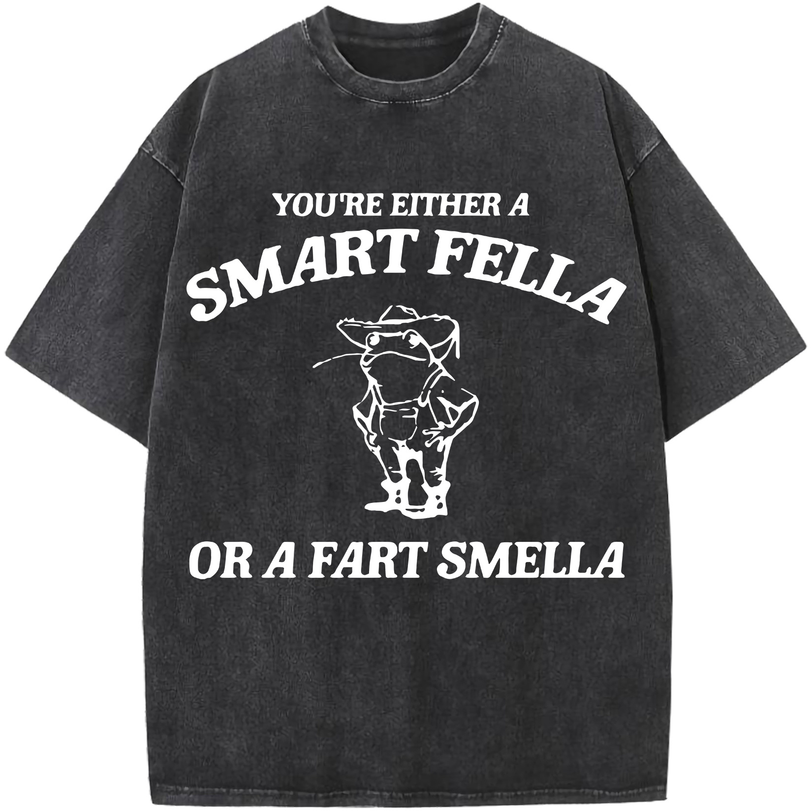 

Are You A Smart Or Fart Smella Garment-dye Tees, Couple Fashion Casual Fine Cotton T-shirt, Short-sleeved Round Neck T-shirt, Retro Washed T-shirt-retro Washed , Comfortable Casual Wear