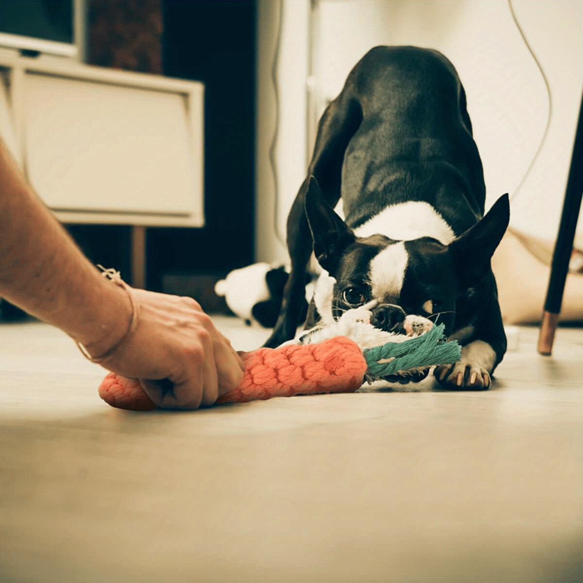 Interactive Durable Carrot-Shaped Dog Toy with Tassel - All Breed Sizes, Linen Material, Tear-Resistant Tug of War Chew Toy for Medium Dogs