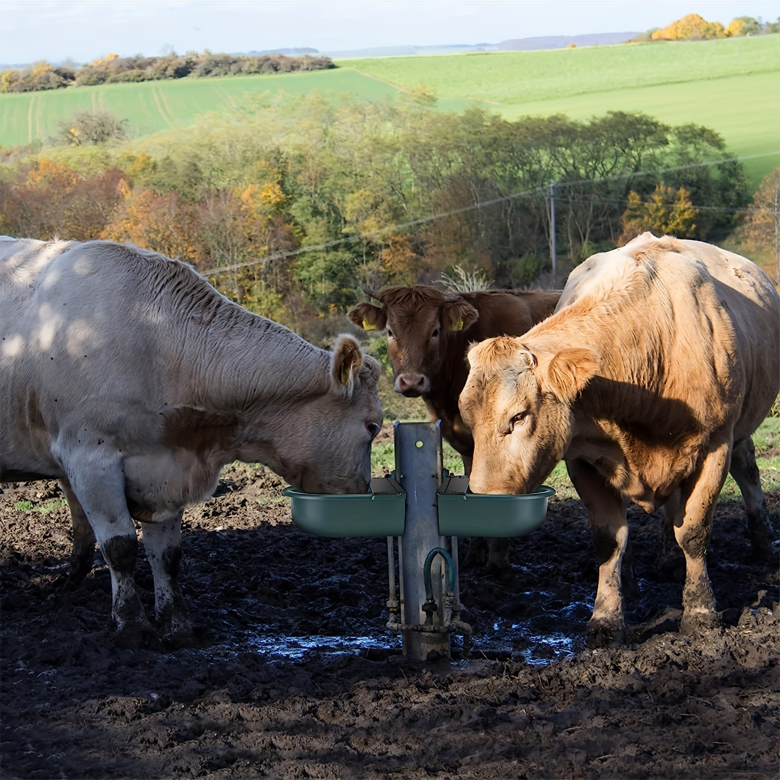 

Large 4l Automatic Pet Waterer Bowl - Abs Resin, Ideal For Horses & Livestock Drinking