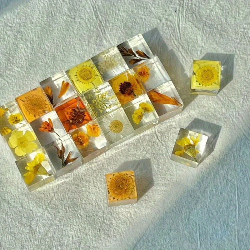 

12pcs Set 3d Resin Plant Blocks - Unique Flower Ornaments, Birthday Gifts & Souvenirs, Random Drop Glue, Specimens, Room Decor