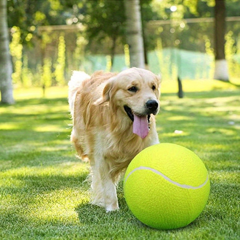 

1pc Interactive 9.5" Dog Tennis Ball -, Bouncy, Training Aid For Small To Medium Breeds, Pet Toys Funny Outdoor Sports Ball, Encouraging Active And Exercise, Pet Owners Deflated