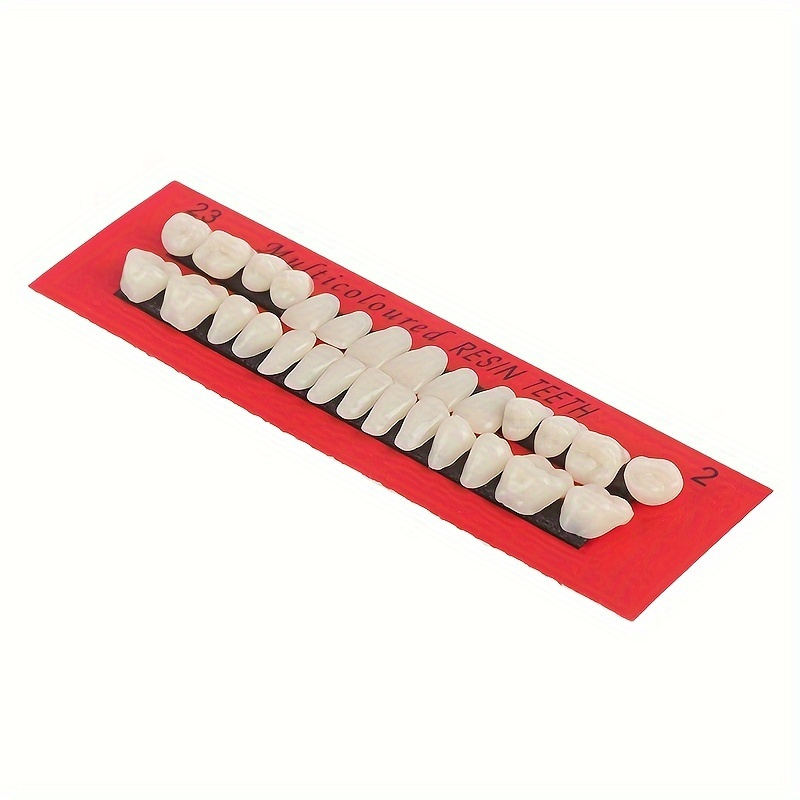 1set Resin Teeth Materials Colors Shade Guide Teeth Oral Material Resin Teeth Model False Teeth