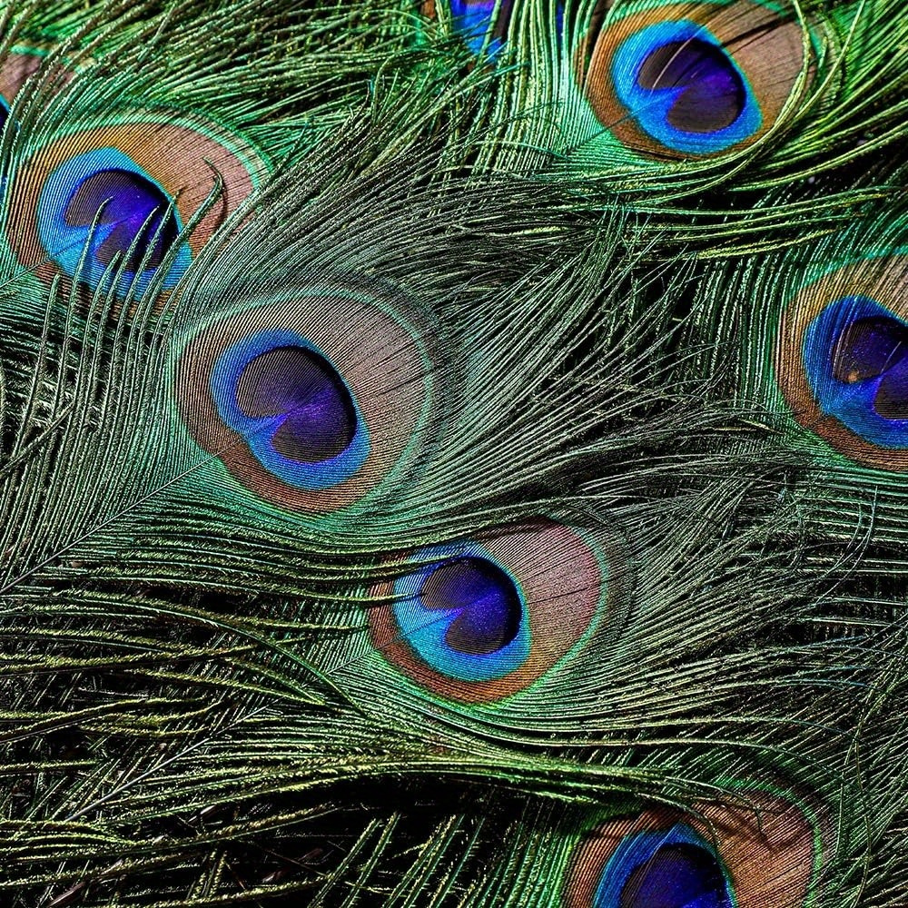 

Decoration Accessories Vase Decoration Ornaments