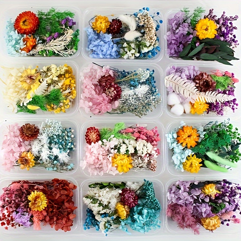 TEMU 1 Boîte d'Emballage Envoyée Aléatoirement, Fleurs Séchées, Fleurs Éternelles, Fleurs Flottantes, Manuel pour Remplissage à la Résine, Kit de