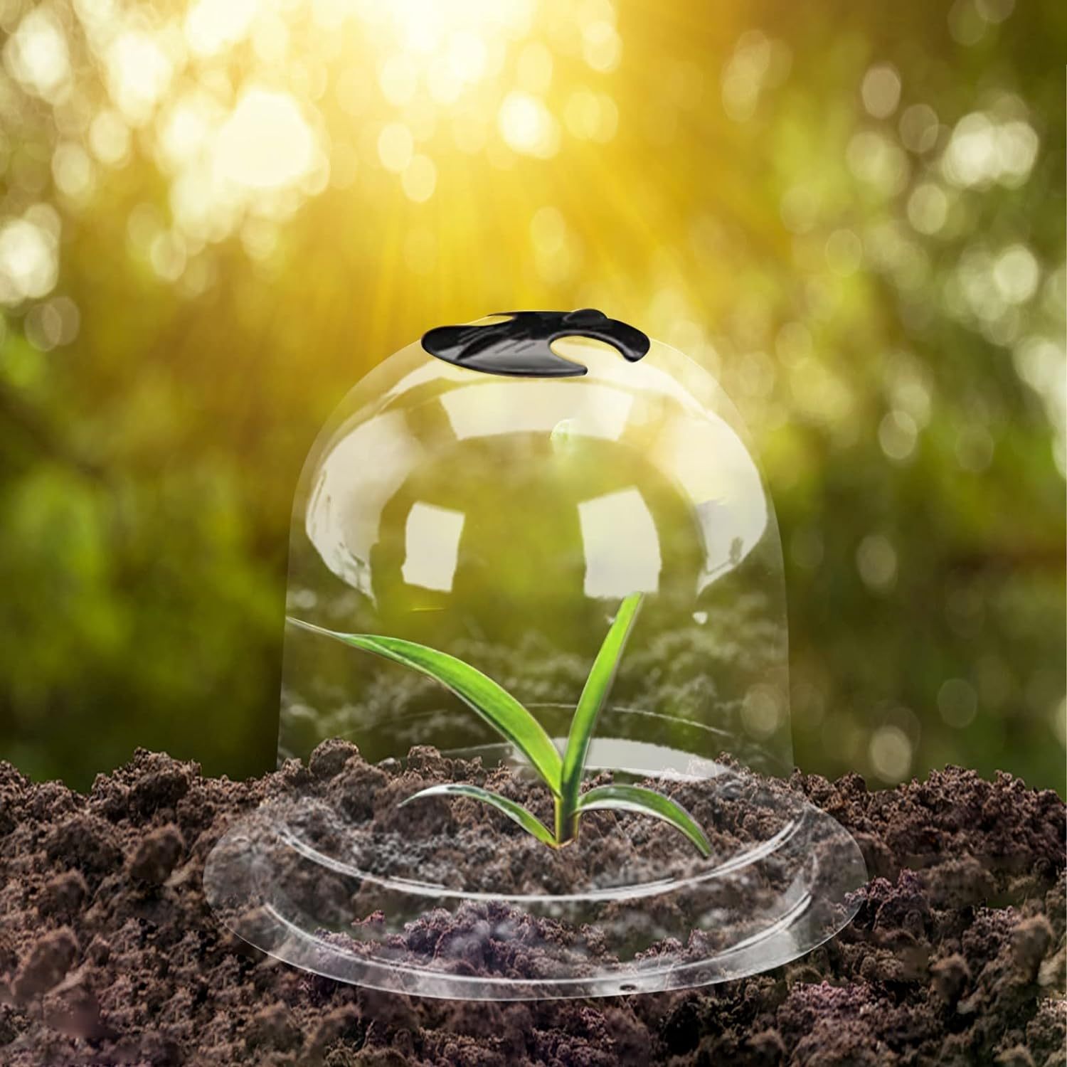 ベル Garden Frost Cover SUPVOX Garden Cloche Clear Bell Covers