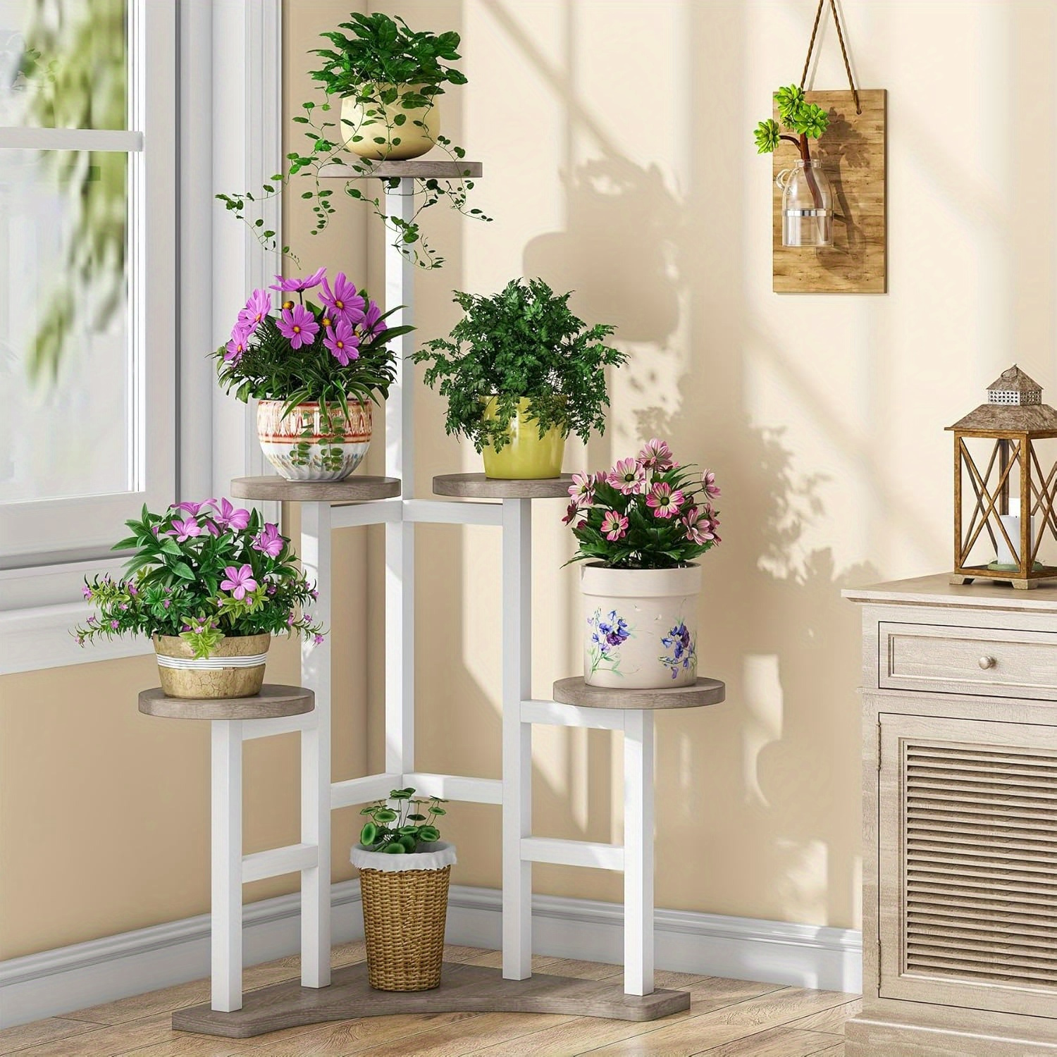 

Stand , 6 Stand, Multiple Potted Organizer For