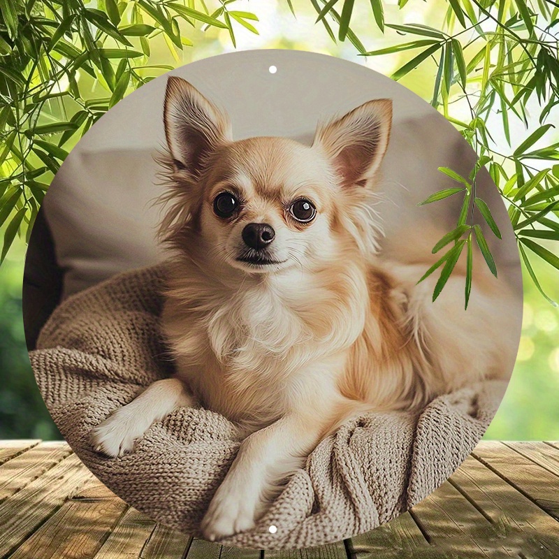 

Chihuahua In Elegant Coat - 8x8" Aluminum Wall Sign | & Flame Resistant, Easy-hang Decor