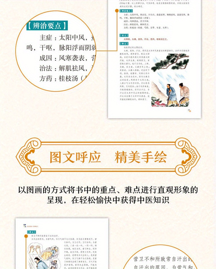 The Treatise on Febrile Diseases by Zhang Zhongjing, the Original Collection Edition, Illustrated Treatise on Febrile Diseases in Vernacular Chinese, Complete Collection of Traditional Chinese Medicine Health Books, Basic Theory of Traditional Chinese Medicine Chinese Version