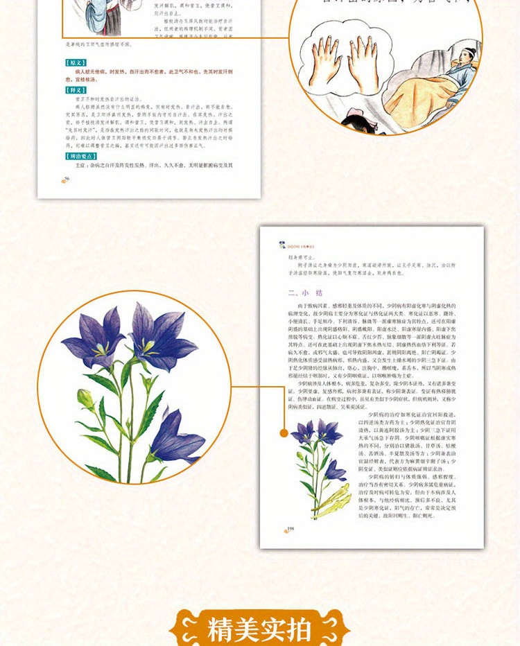 The Treatise on Febrile Diseases by Zhang Zhongjing, the Original Collection Edition, Illustrated Treatise on Febrile Diseases in Vernacular Chinese, Complete Collection of Traditional Chinese Medicine Health Books, Basic Theory of Traditional Chinese Medicine Chinese Version