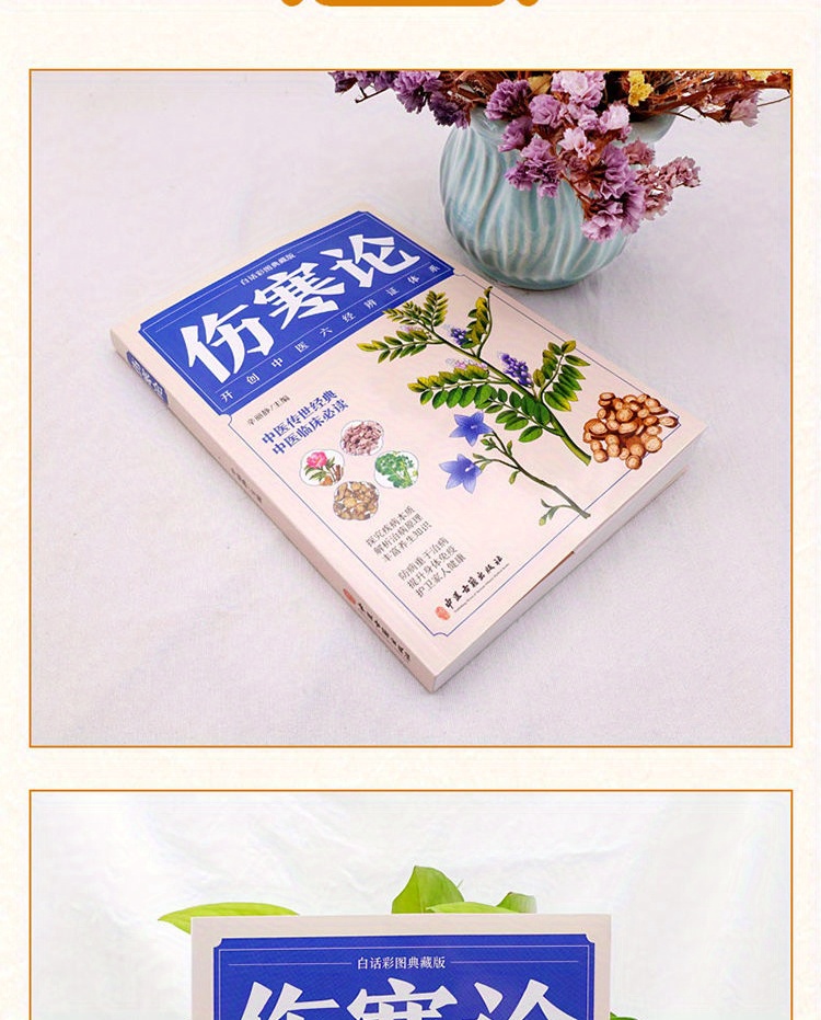 The Treatise on Febrile Diseases by Zhang Zhongjing, the Original Collection Edition, Illustrated Treatise on Febrile Diseases in Vernacular Chinese, Complete Collection of Traditional Chinese Medicine Health Books, Basic Theory of Traditional Chinese Medicine Chinese Version