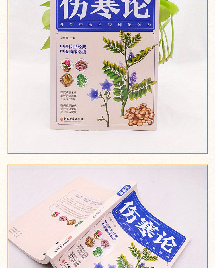 The Treatise on Febrile Diseases by Zhang Zhongjing, the Original Collection Edition, Illustrated Treatise on Febrile Diseases in Vernacular Chinese, Complete Collection of Traditional Chinese Medicine Health Books, Basic Theory of Traditional Chinese Medicine Chinese Version