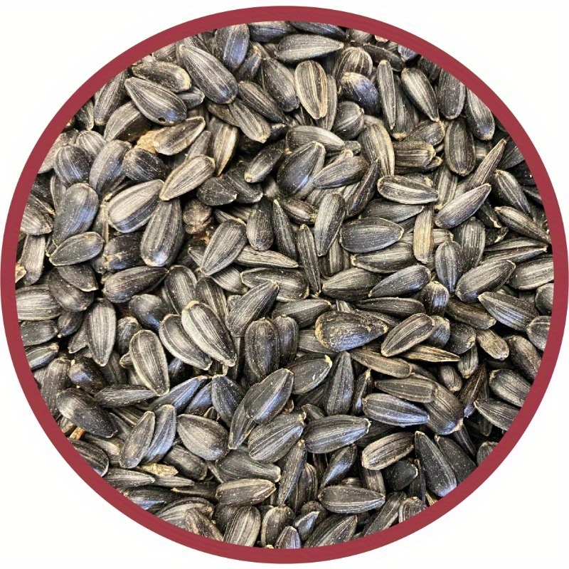 

Black Oil Sunflower Seed Dry Wild Bird Feed 40 Lb Bag 1 Pack