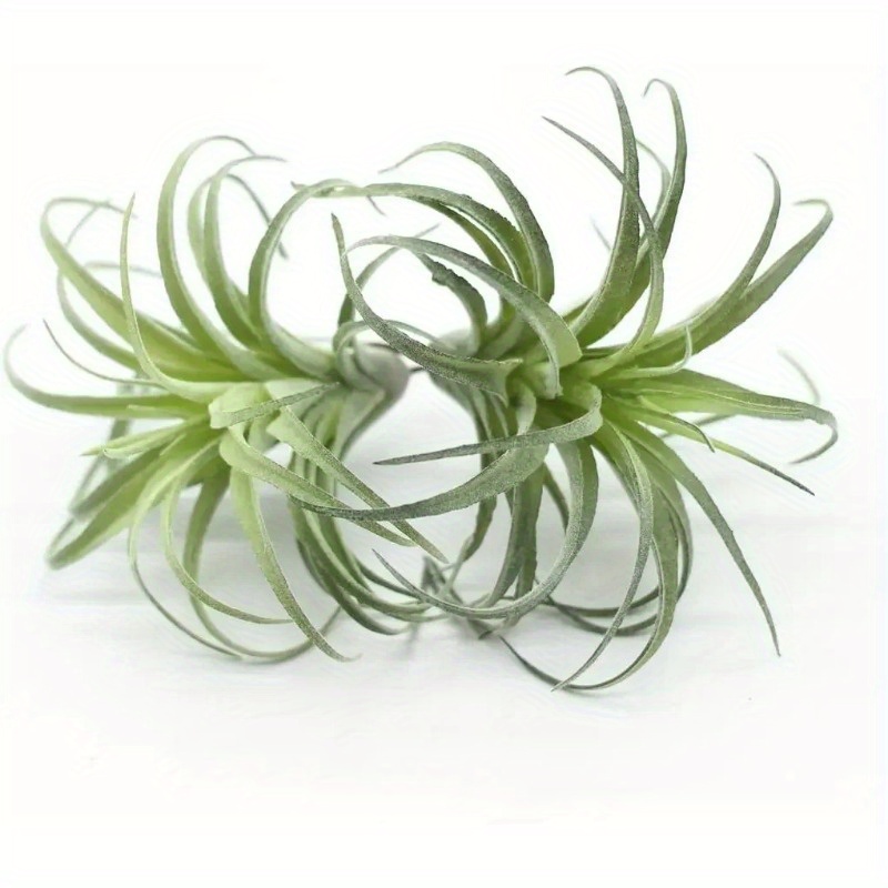 

2pcs Artificial Flocking Air Plants, Faux Succulents Bromeliads, Small Size, Plastic, No Battery Required, Home & Kitchen Decor, Realistic Greenery For Parties