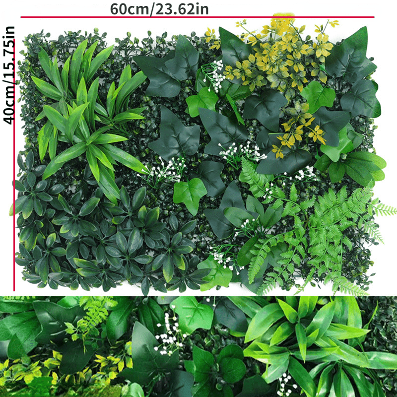 monstera riesig Fensterblatt (Monstera) XXL-Gre kaufen