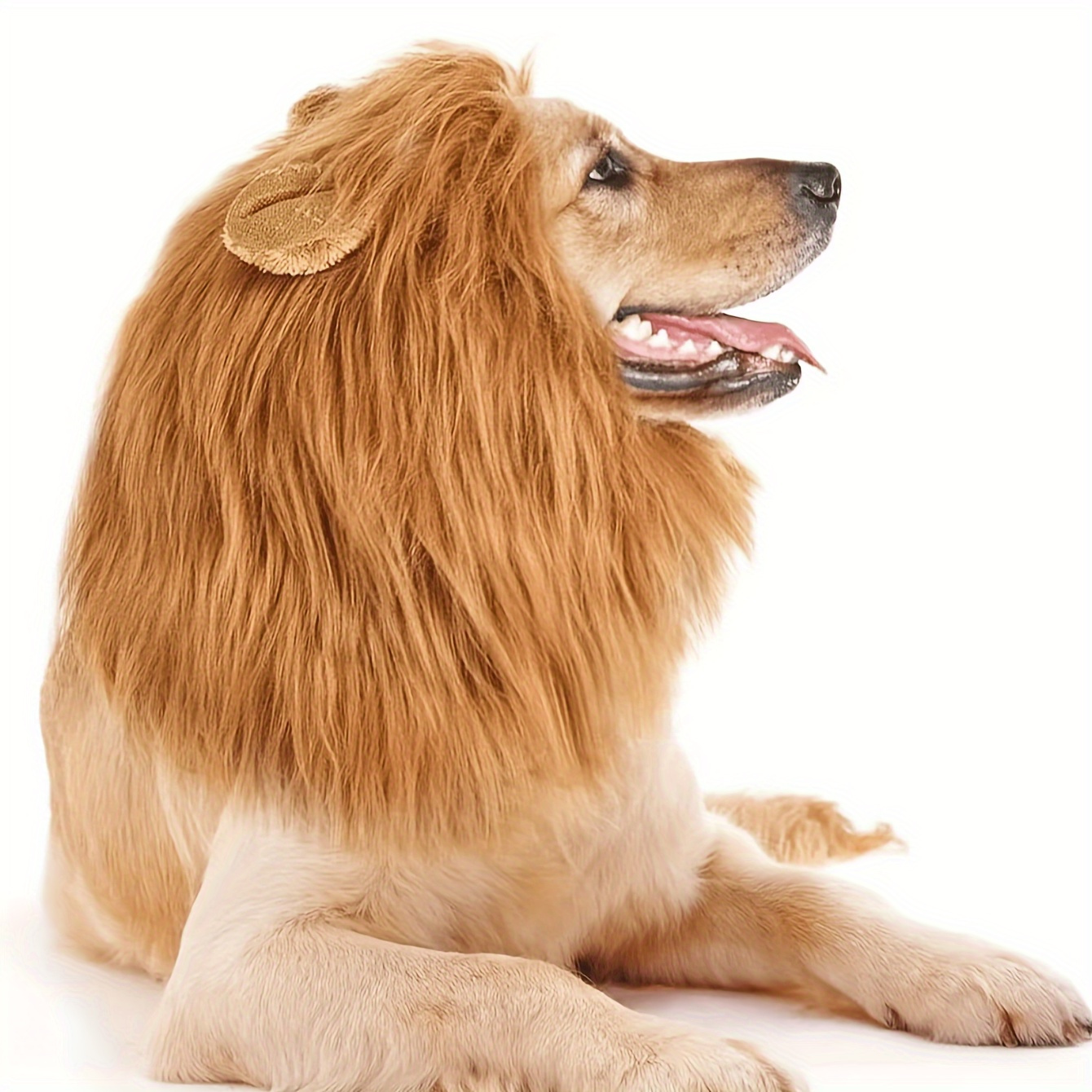 TEMU 1pc Realistic & Funny Lion Mane For Dogs - Lion Mane For Dog Costumes For Medium To Large Sized Dogs , Pet Festival Gift