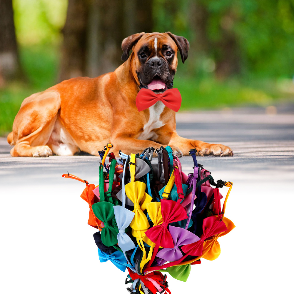 

50-piece Colored Cat Collars & Dog Ties Set - Polyester Material, For Stylish Pet Grooming Accessories, Easy-to-adjust Buckles, For Cats, Small To Medium-sized Dogs