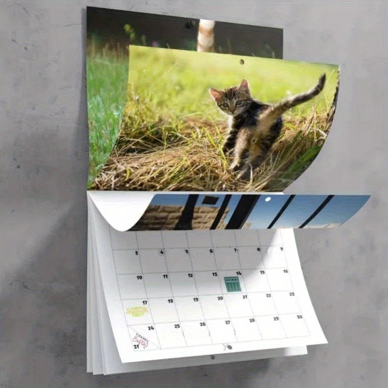 

2025 Hilarious Cat Rear View Wall Calendar - Humor